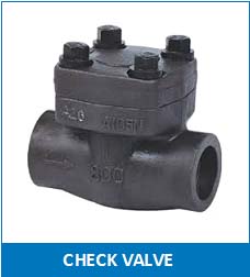 Check Valve